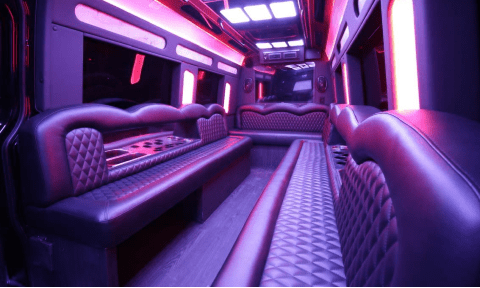 Gilbert 14 Passenger Sprinter Bus Interior